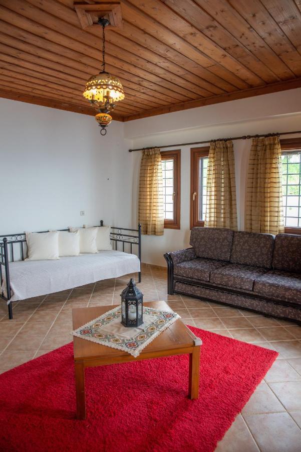 Notas Pelion Seaview Villa 扎戈拉 外观 照片